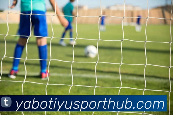 亚博体育APP 封面图